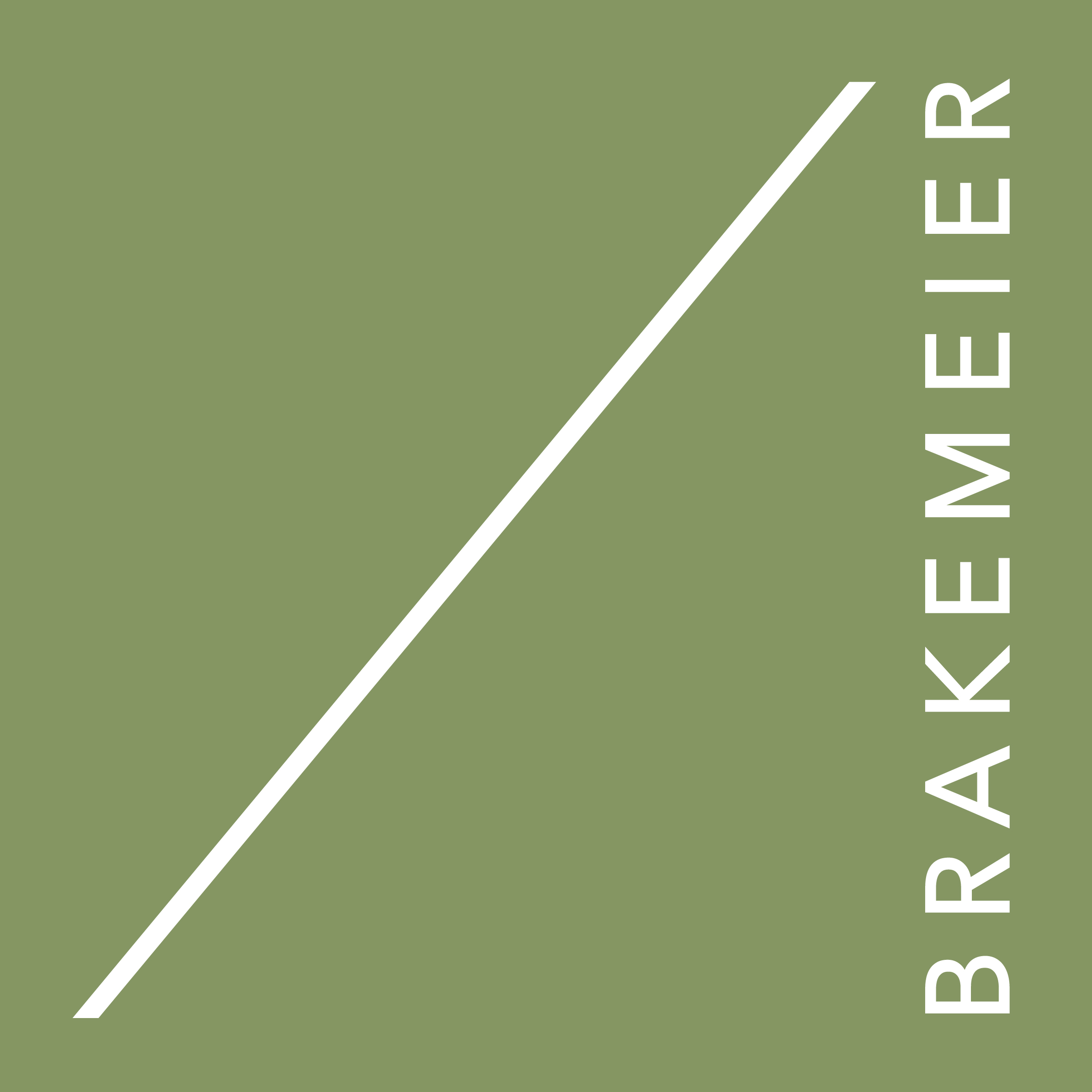 brakemeier_logo_gruen_2